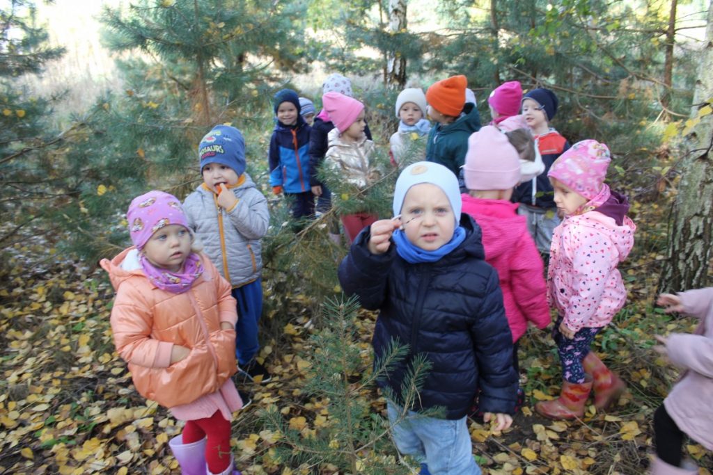 Grupka dzieci w lesie na pierwszym planie chłopiec pokazuje grzybka