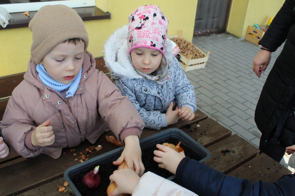 dzieci w kurtkach , czapkach sadza cebule do skrzynek 