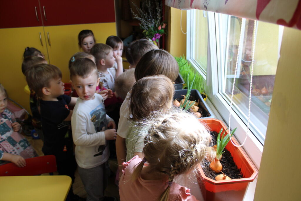 dzieci przy parapecie obserwują roślinki